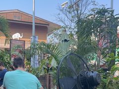 -Cafe de Thaan Aoan