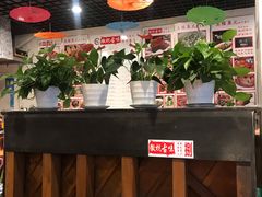 -臭桂鱼儿特色餐厅(朝晖七小区北区店)