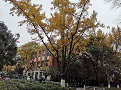 -浙江大学(玉泉校区)
