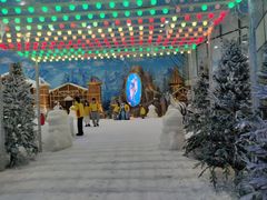 -世界之窗阿尔卑斯冰雪世界