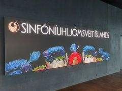 -冰岛阴茎博物馆