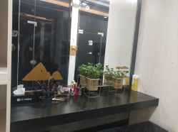 -DEM缔怡美科技美容