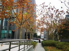 -陆家嘴世纪金融广场