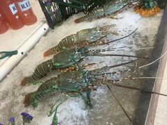 -蓝珊甄选海鲜自助·火锅大排档(近阿那亚店)