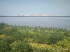 -天津东丽湖风景区