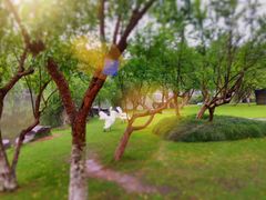 -重庆彩云湖湿地公园