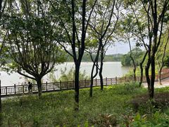 -广东花都湖国家湿地公园