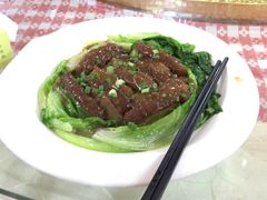 -绿华园休闲山庄