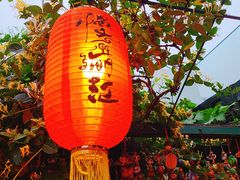 -慢丽江·云南野生菌土鸡锅(付家庄店)