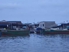-蓝湾碧波·老字号·疍家非遗海上餐厅