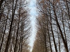 -苏州太湖国家湿地公园