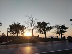 -万绿园