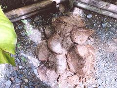 -大象粑粑造纸公园