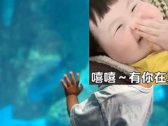 -海合安武汉极地海洋公园