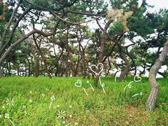 -八大关景区
