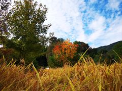 -塔川景区