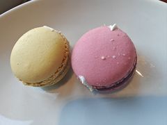 -嘉定凯悦·咖啡厅