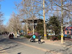 -朝阳公园游乐园