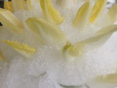 -宋宴(虎跑店)