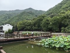 -荷塘味道(水长城店)