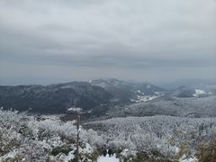 -武陵山森林公园