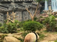 -石排湾郊野公园