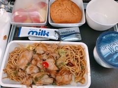 -新加坡航空公司(ION)