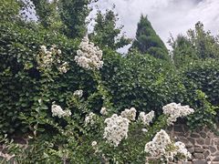 -蓬莱阁景区