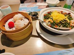 -茶港·点心·啫啫煲(王府井店)