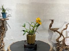 -沧浪亭