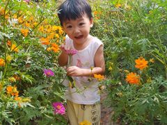 -晓港公园