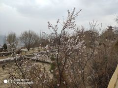 -兰山公园