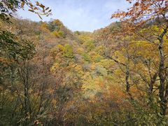 -光雾山旅游景区