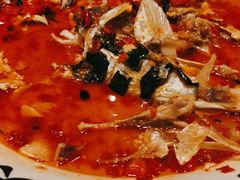 -千稻剁椒大鱼头(CityOn熙地港店)