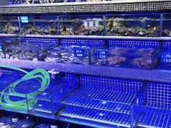 -青蓬蒸汽海鲜·深圳老字号·团建聚会(壹方城店)