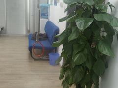 -电脑移动硬盘维修数据恢复西数wd希捷