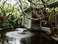 -广州兰圃