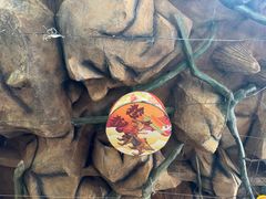 -长鹿旅游休博园
