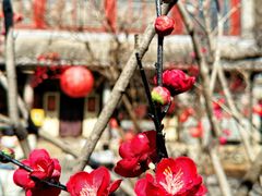-潭柘寺景区