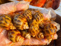 -吉利龙虾·新派海鲜烧烤