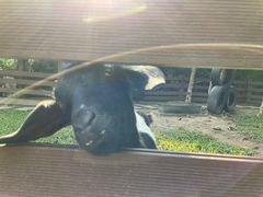 -广州锦绣香江度假别墅