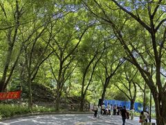 -大雁山风景区