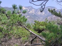 -沂蒙山旅游区龟蒙景区