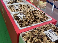 -天津梅江会展中心