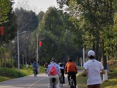 -白鹭湾湿地公园