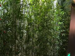 -尊足养生·影院足道·主题spa·采耳(浦江店)