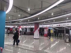 -东方体育中心(地铁站)