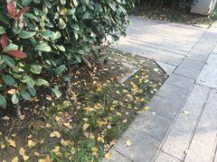 -杭州登云路农贸市场(胜月院店)