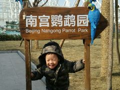 -世界地热博览园