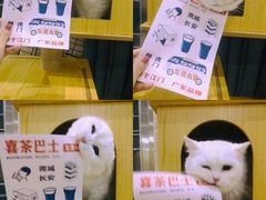 -喜茶(东莞汇一城店)
